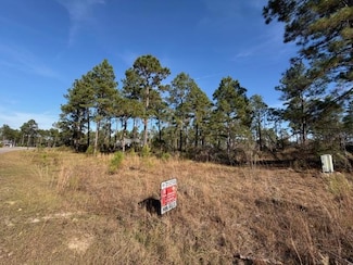 0000 Foxfire Dr, Vidalia, GA 30474