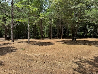 0 Miles Holt Walk Unit 71169, Clarksville, VA 23927