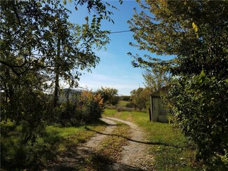 23098 Palmer Rd, Polo, MO 64671