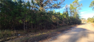 100 White Dr, Townsend, GA 31331