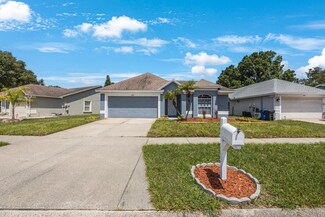 11124 Bramblebrush St, Tampa, FL 33624