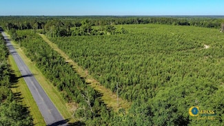 0 Marvis Chapman Rd Unit 25510374, Ideal, GA 31041