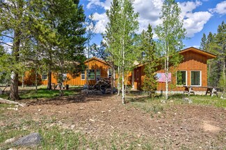 166 Skidoo Rd, Fairplay, CO 80440