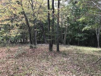 103 Bluff View Dr, Dunlap, TN 37327