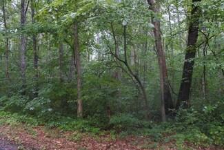 Lot 52 N Shady Lane Loop, Clarkrange, TN 38553