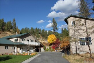 181 Aeneas Creek Rd, Malo, WA 99150