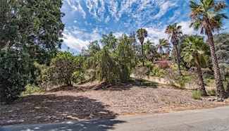 1601 N Walnut St, La Habra Heights, CA 90631