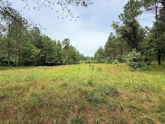 0 Spokelay Rd Unit RTC2946642, Spencer, TN 38585