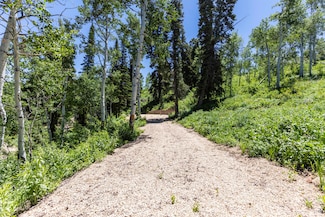 1688 Pine Loop Rd, Coalville, UT 84017