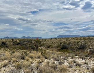 TR:G 631 Mcintyre, Terlingua, TX 79852