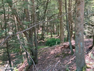 0 Green Creek & Youngs Hill Rd Unit 20-97497, Benton, PA 17814