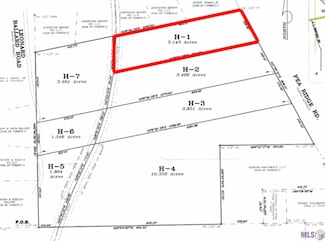 TBD H-1 Pea Ridge Rd, Albany, LA 70711