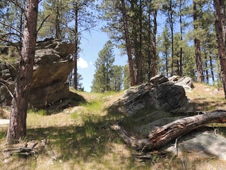 Lot 22 DiamondE Upper French Creek Rd Unit TBD Upper French Cre, West Custer, SD 57730
