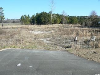 TBD Red Bluff Rd, Loris, SC 29569