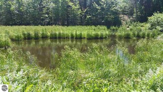 . Chester Rd, Honor, MI 49640
