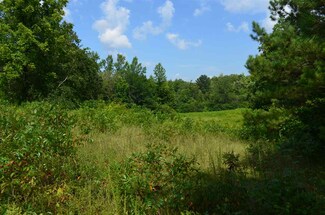 0 Deerberry Ln Unit 83496, New Concord, KY 42076