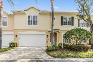 3429 Heards Ferry Dr, Tampa, FL 33618