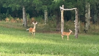 00 Bobby Brown State Park Rd, Elberton, GA 30635