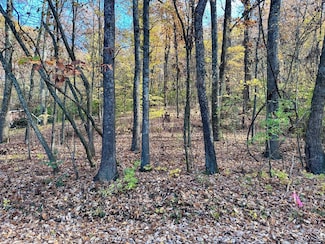 0 Taylor St Unit 1504281, Chattanooga, TN 37406