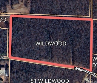 999 Wildwood Dr, Ash Flat, AR 72513