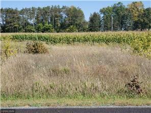 1685 178th St Dalton Farm Road Lot 25, Hammond, WI 54015