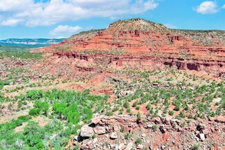 TBD State Highway 96, Coyote, NM 87012