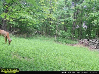 548 Boyer Rd, Wheelersburg, OH 45694