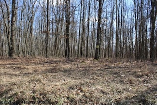 Lot 3 Sand Bank Heights Rd, Masontown, WV 26542