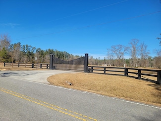 0 Rice Gate Rd Unit Lot 1 25012281, Walterboro, SC 29488