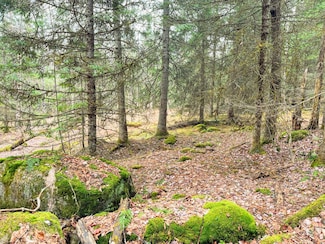 00 Palmer Rd, Waverly, NY 12980