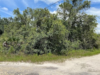 10232 Field St, New Port Richey, FL 34654