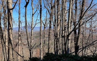 LT 5 Sunrock Mountain Trc, Blue Ridge, GA 30513