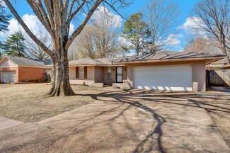 3225 Teaberry Ln, Memphis, TN 38134