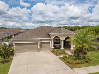 9673 Orange Jasmine Way, Tampa, FL 33647