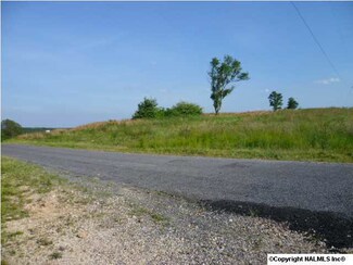 0 Wright Rd Unit 399709, Henagar, AL 35978
