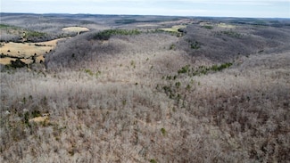 0 Holly Mountain Rd Unit 1308680, Clinton, AR 72031