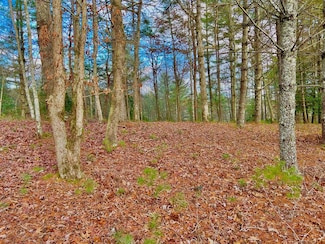 Lot 5 Hawks View, Morganton, GA 30560
