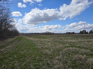 0 Marshall Rd, Coldwater, MI 49036