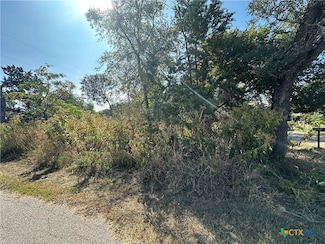 1 S Sherwood Dr, Morgan's Point Resort, TX 76513