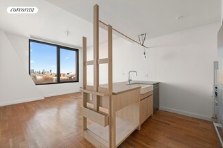 54 Noll St Unit 329, Brooklyn, NY 11206