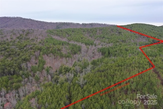 0 Wards Gap Rd Unit CAR4241629, Casar, NC 28090