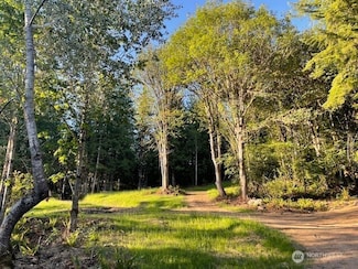 1 XXX Leland Valley Rd W, Quilcene, WA 98376
