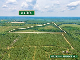 0 Powell School Rd, Lumber City, GA 31549