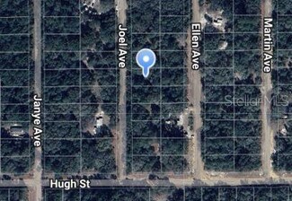 0 Joel Ave, Interlachen, FL 32148