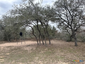 2 Dentler Tract 2 Rd, Meyersville, TX 77974
