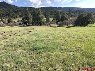 1497 Hersch Ave, Pagosa Springs, CO 81147