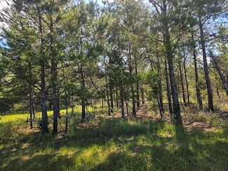 0 Mississippi 43, Columbia, MS 39429