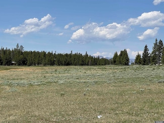 65 Lot 4 Fir Rd, Dubois, WY 82513