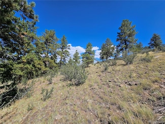 358 Escondida Dr, South Fork, CO 81154