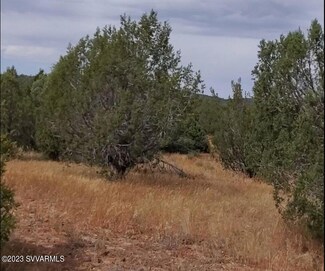 0 W Layne Paulson Dr Unit 533022, Seligman, AZ 86337
